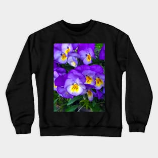 Pansies Crewneck Sweatshirt